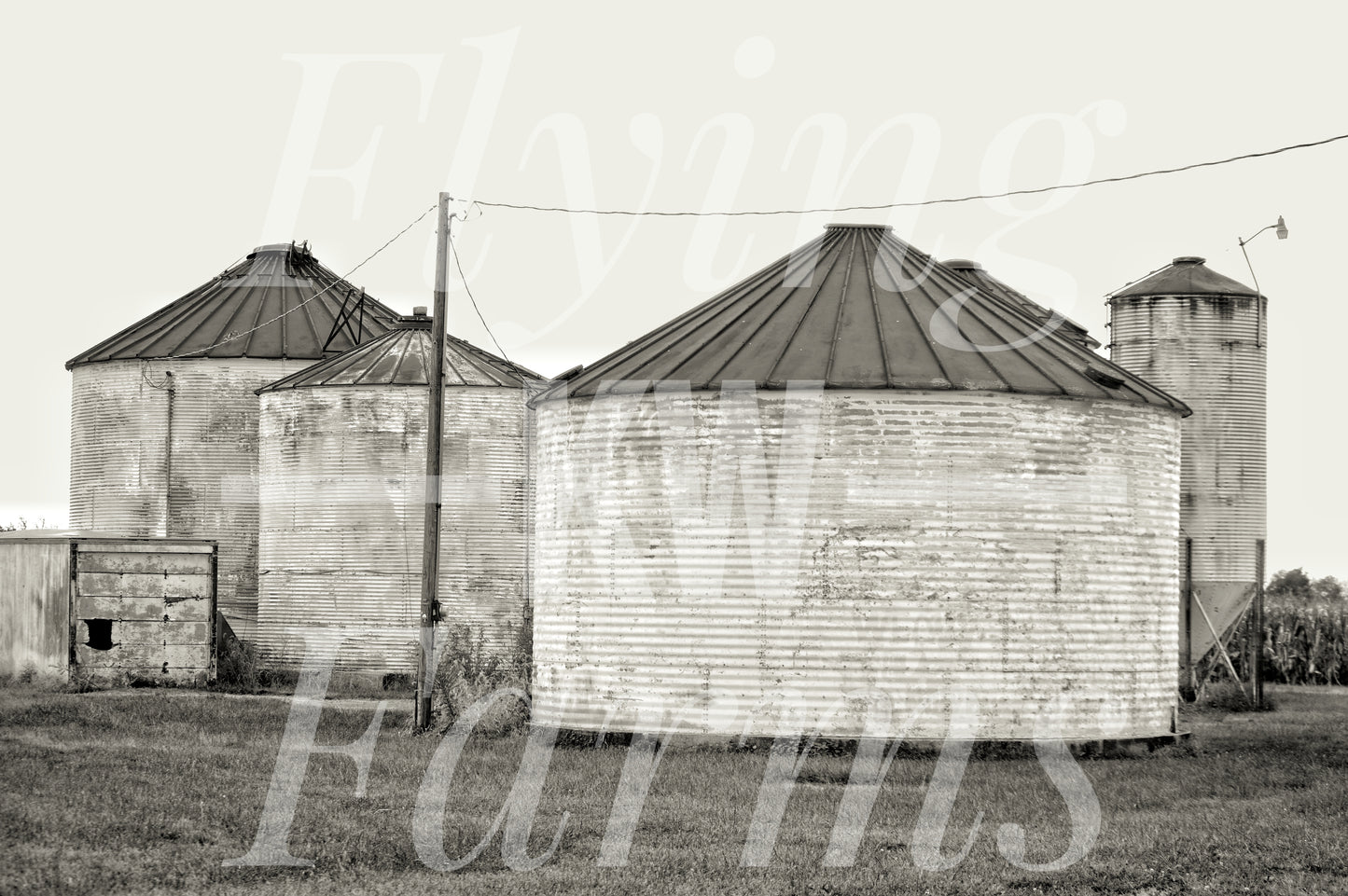 Photo Prints- Farm Scenery
