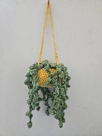 Crochet String of Pearls