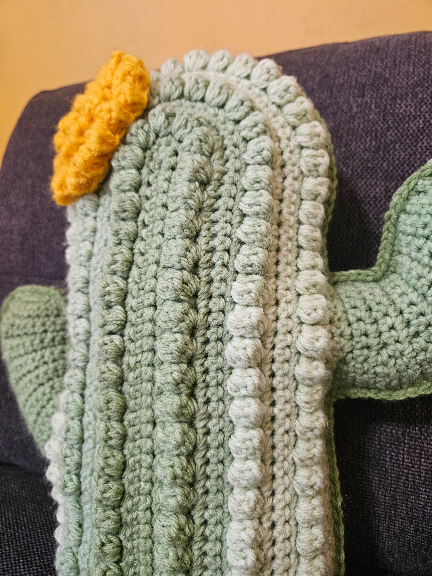 Crochet Cactus Pillow
