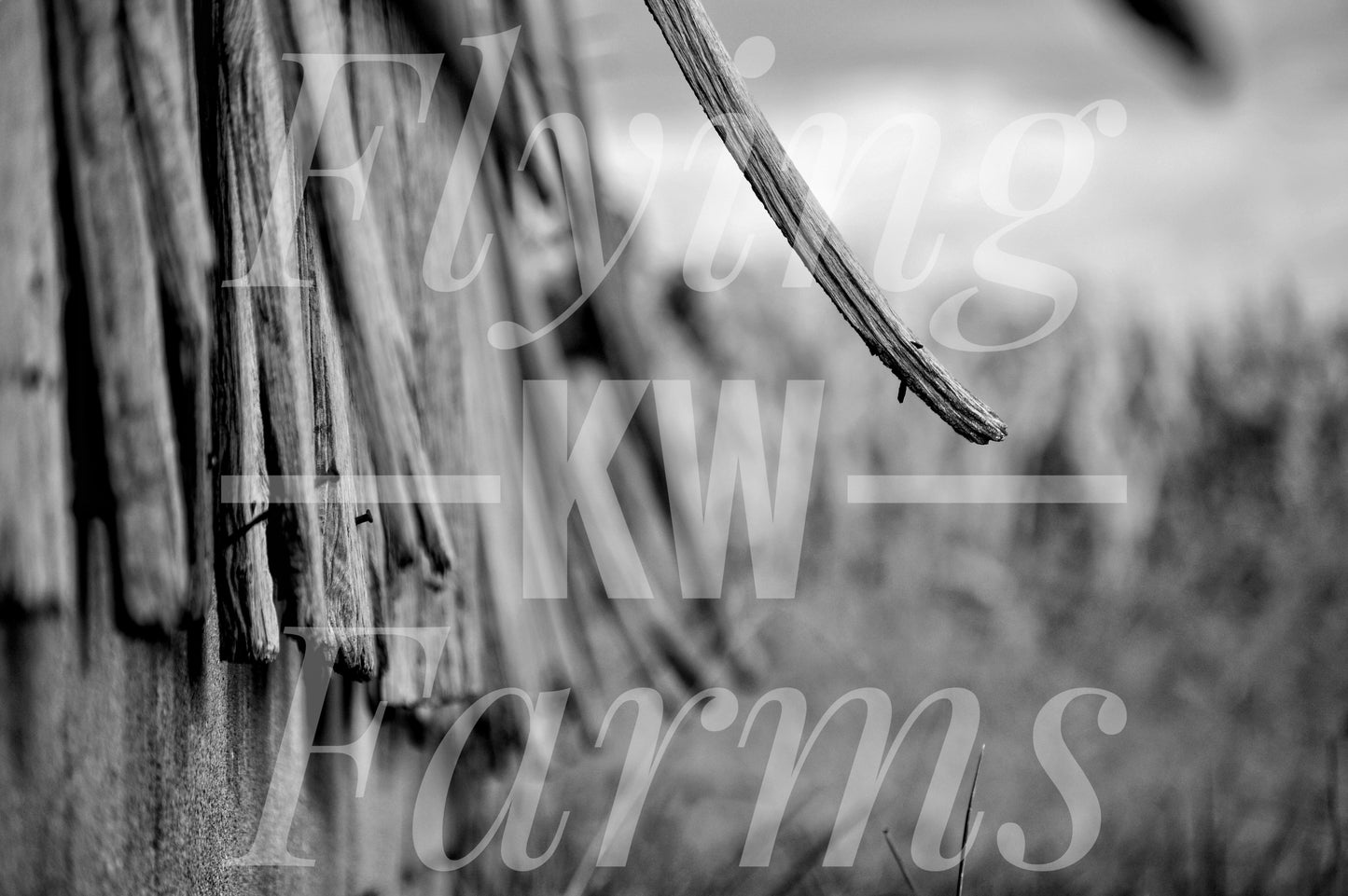 Photo Prints- Farm Scenery