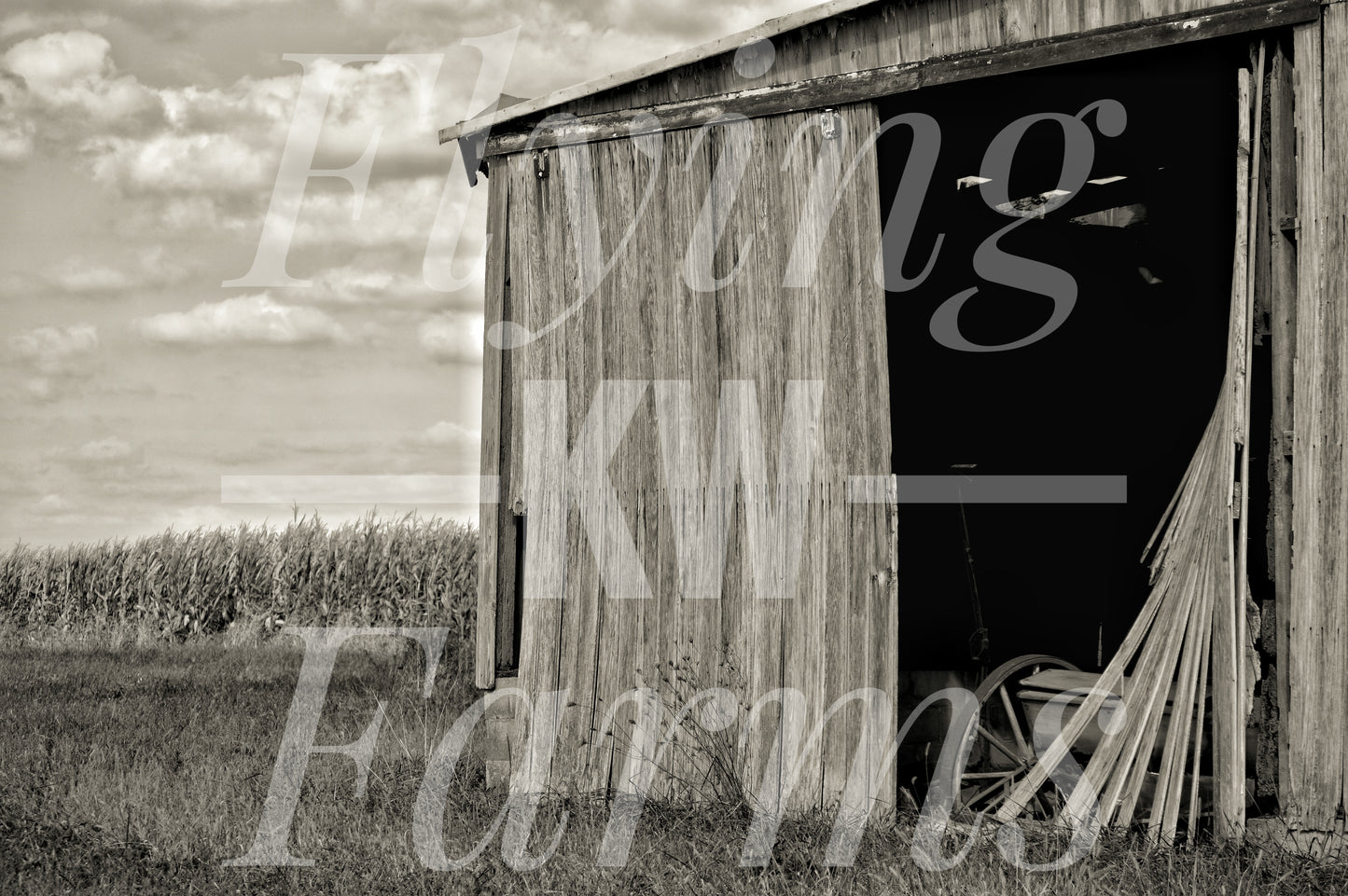 Photo Prints- Farm Scenery
