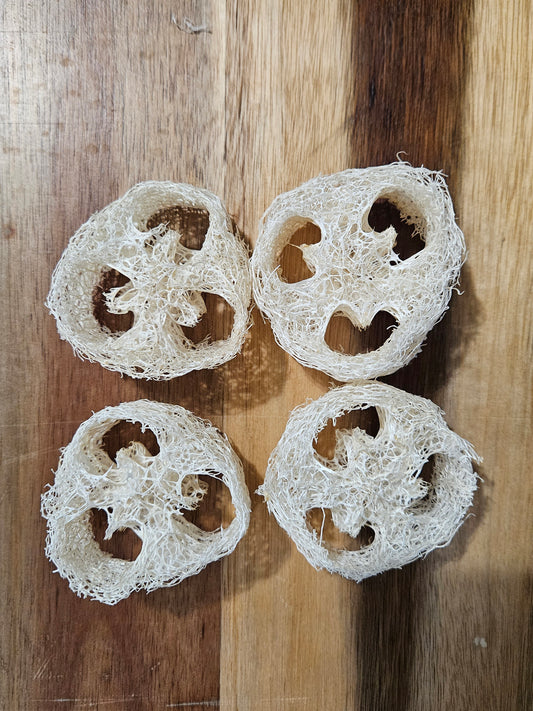 Loofah Sponges