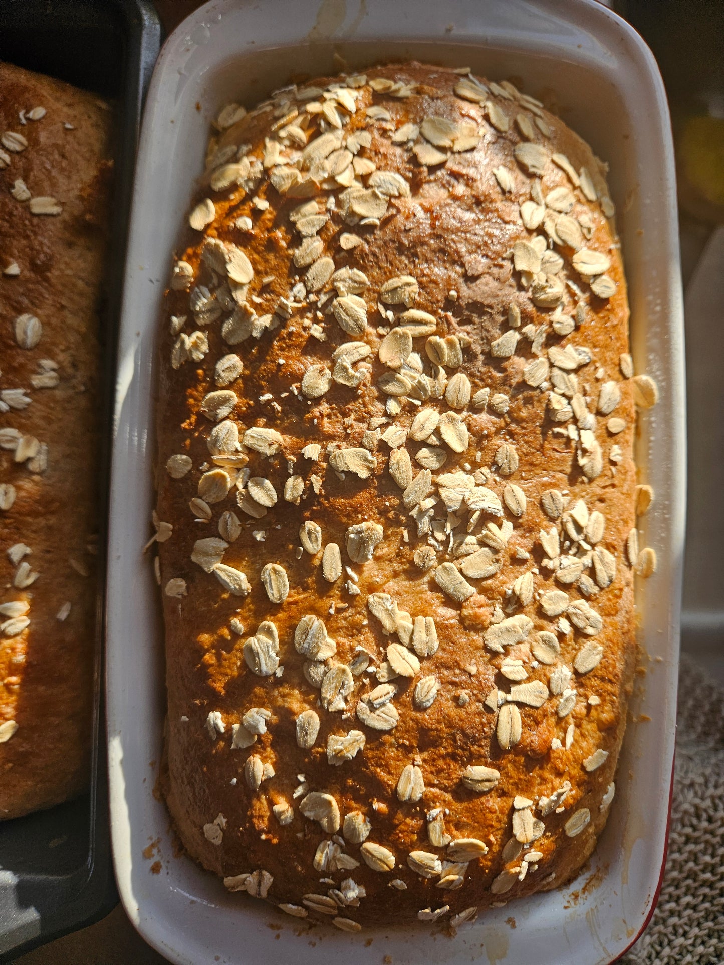 Whole Wheat Honey Oat Bread