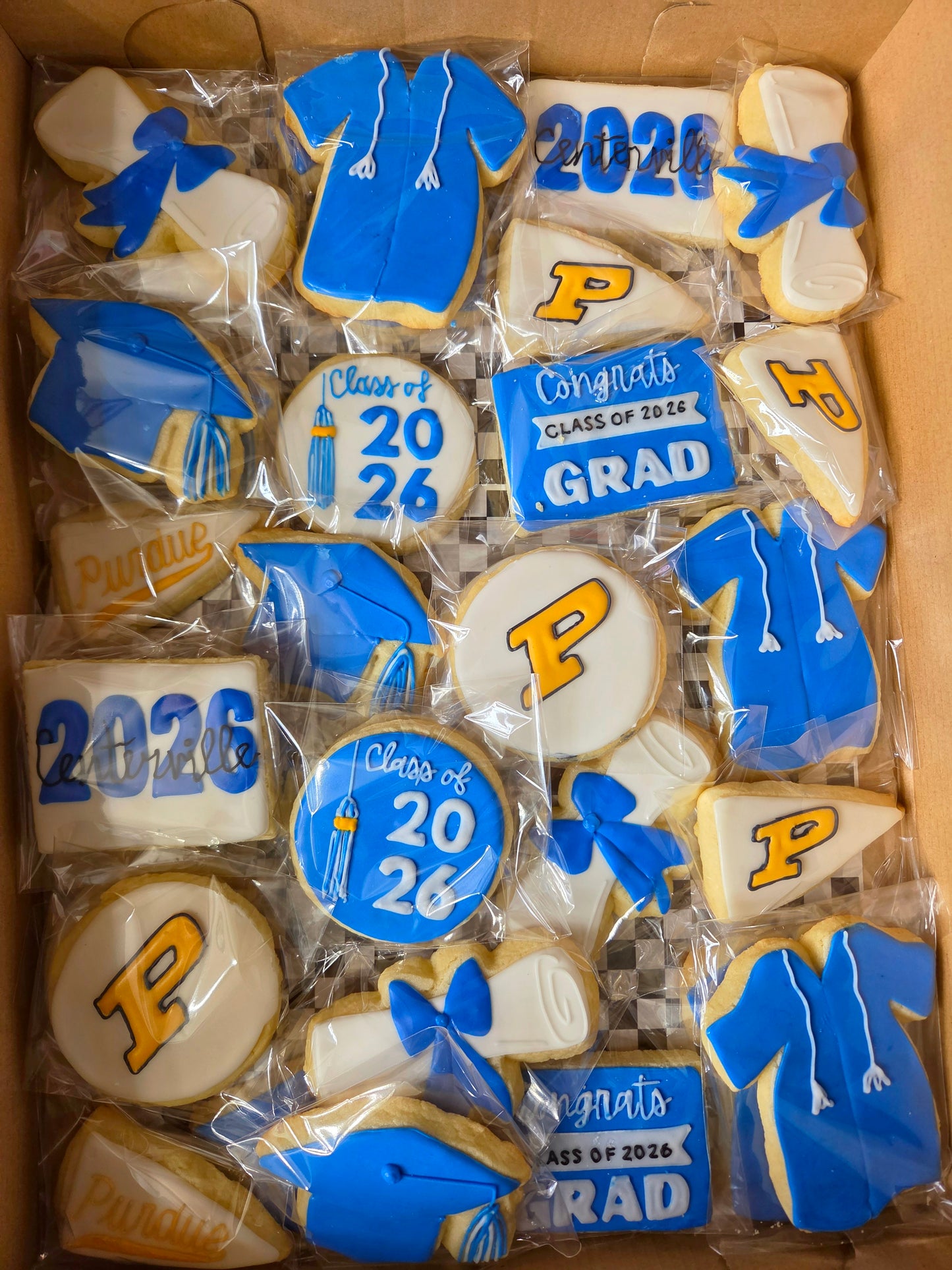 Decorated Sugar Cookies