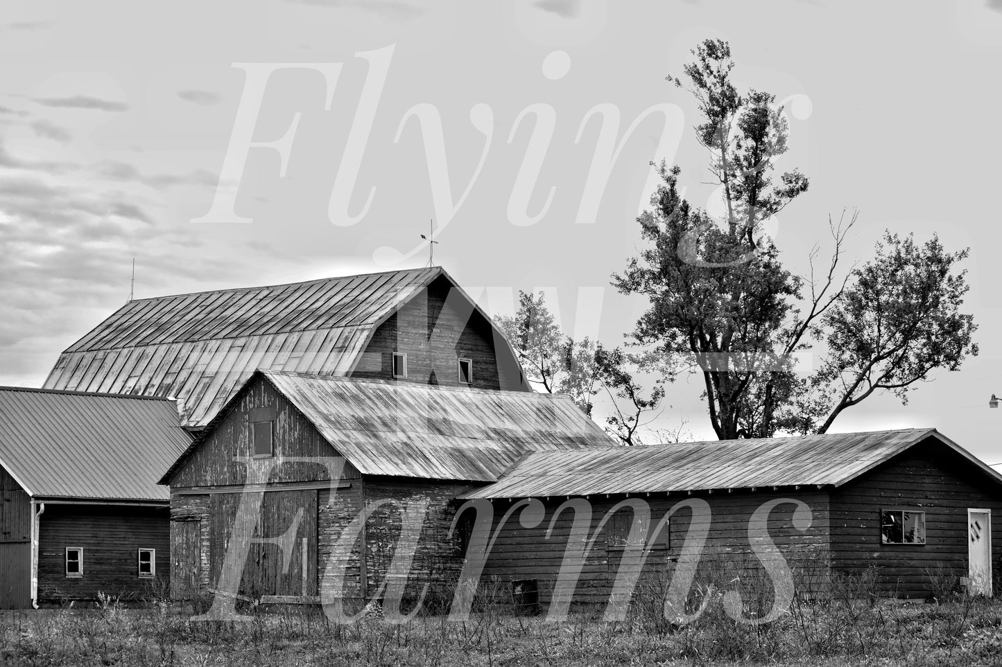 Photo Prints- Farm Scenery