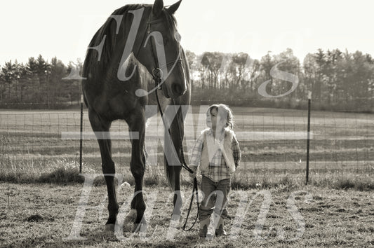 Photo Prints- Horses