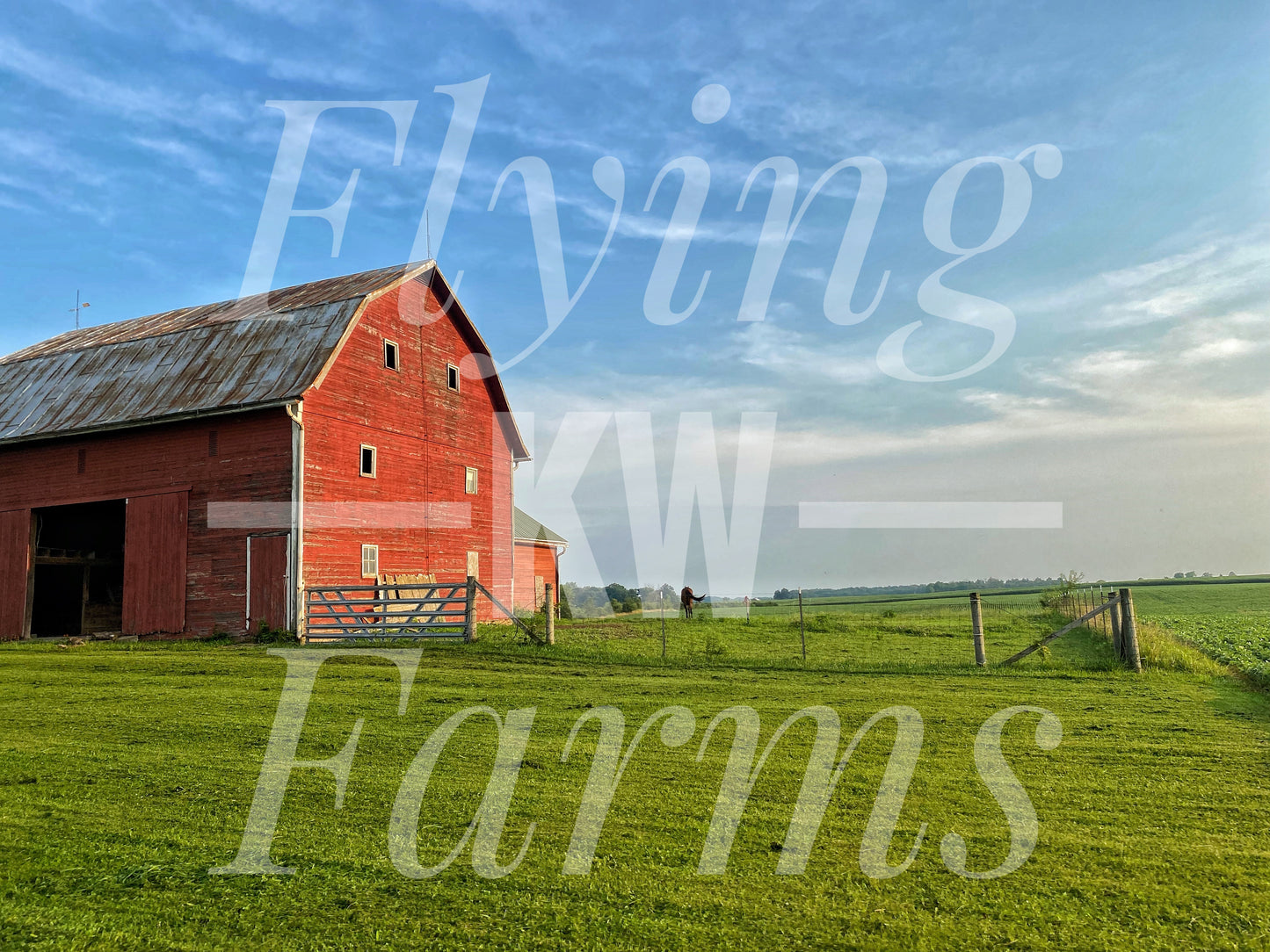 Photo Prints- Farm Scenery