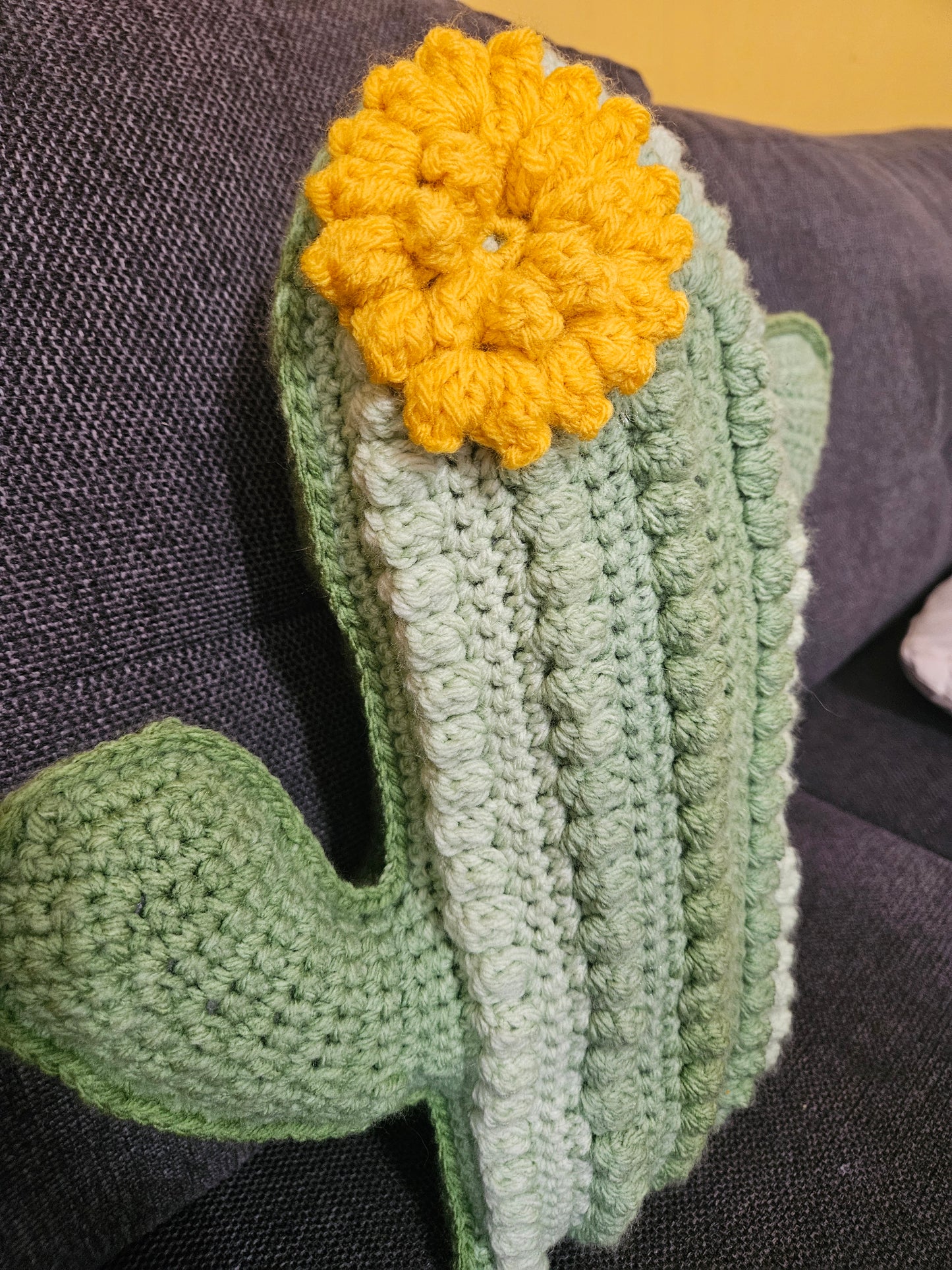 Crochet Cactus Pillow