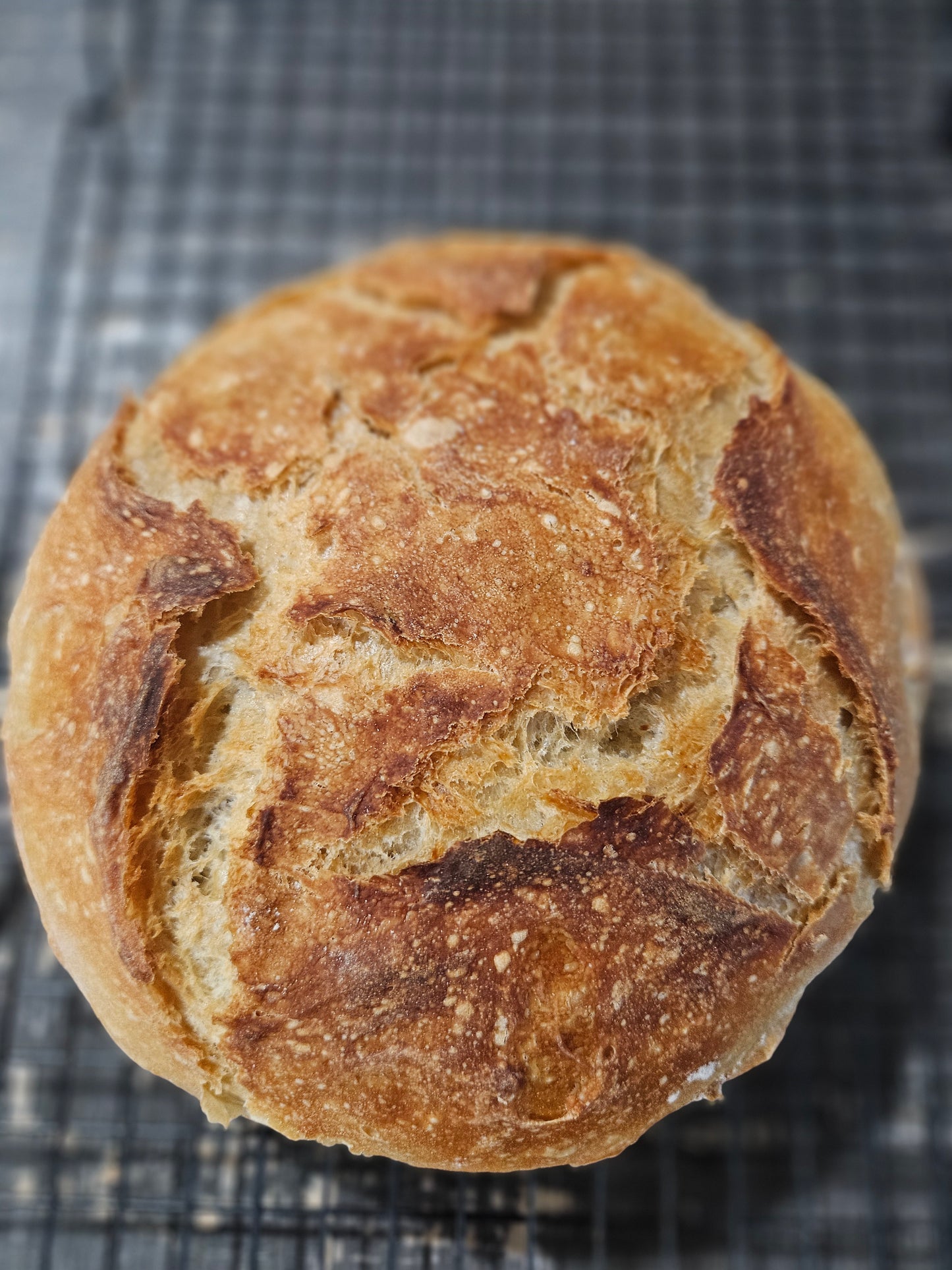 Breads, Buns, Rolls, Biscuits and more